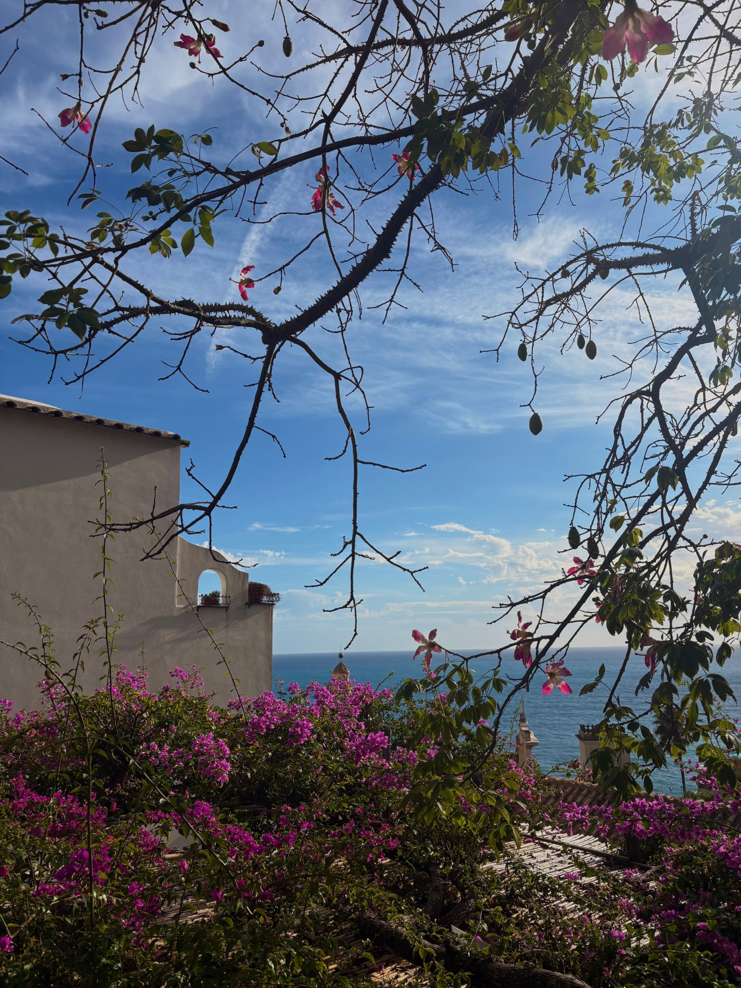Pink bougainvillea and blossoming branches framing a white villa above the Mediterranean sea