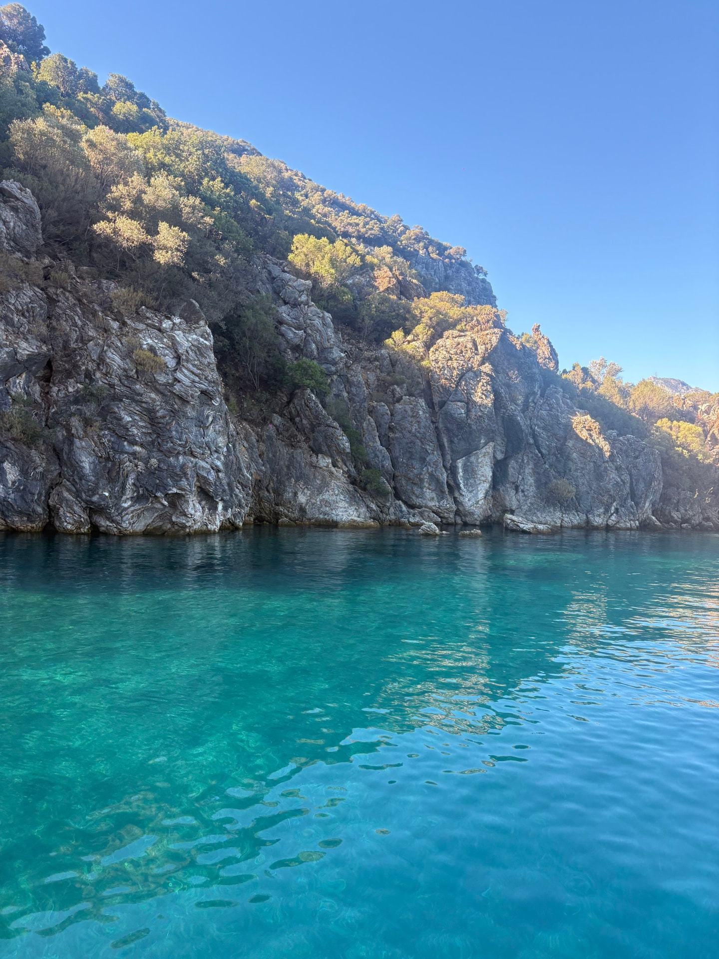 A rocky tree-covered cove above bright turquoise water
